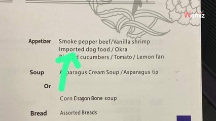 Une compagnie aérienne chinoise propose à la carte une entrée à base de viande chiens
