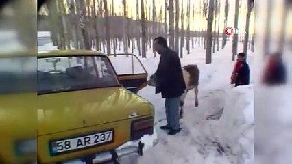 Tam 21 yıl sonra ikinci Dana Ferhat vakası