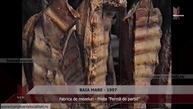 BAIA MARE 1997 - Fabrica de mezeluri - Fosta ”Fermă de partid”
