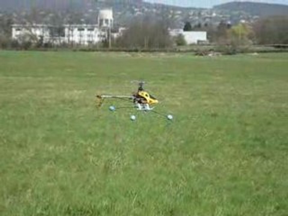 Oli69 et son Honey Bee King 2