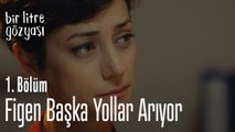 Figen başka yollar arıyor - Bir Litre Gözyaşı 1