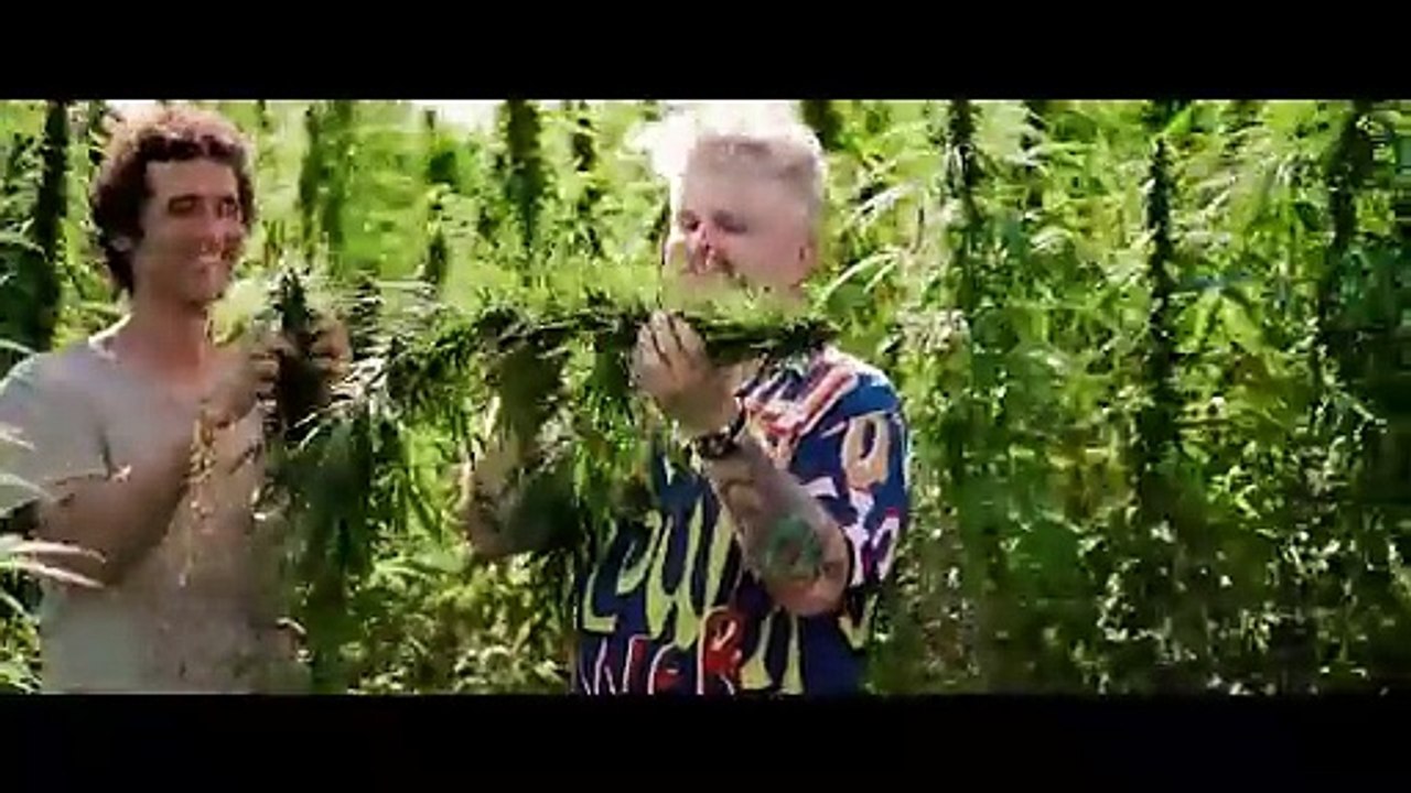 PRODUKUJĄ KOSZULKI Z KONOPI W 100% W POLSCE! Maciek Kowalski - Kombinat Konopny