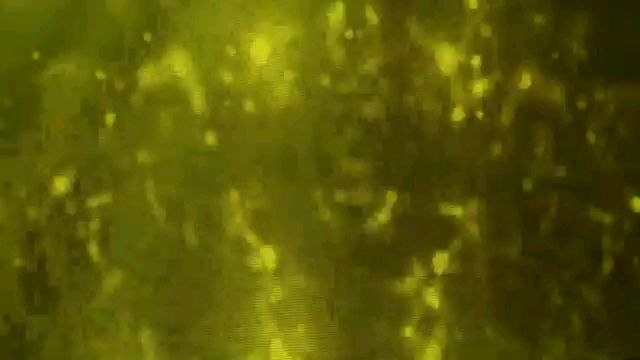 Jelena Marinkov - Lek protiv bola - Nedeljno popodne sa Leom Kis - (Tv Grand 19.11.2023)