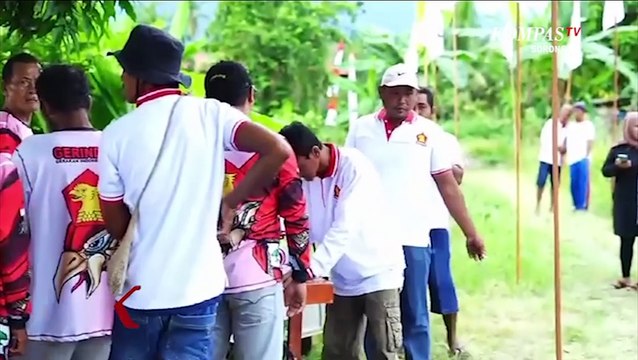 70 Kelompok Tani di Manokwari Ikut Panen Raya Atasi Masalah Pangan