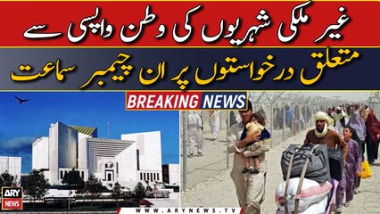 In-chamber hearing on applications related to repatriation of foreign nationals