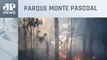 Incêndio destrói 300 hectares de reserva ambiental em Porto Seguro, na Bahia