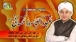 Hafiz Abdulbasit Hassani Naqshbandi || Be khud kiye dete hain || Ay Jalwa e Janana