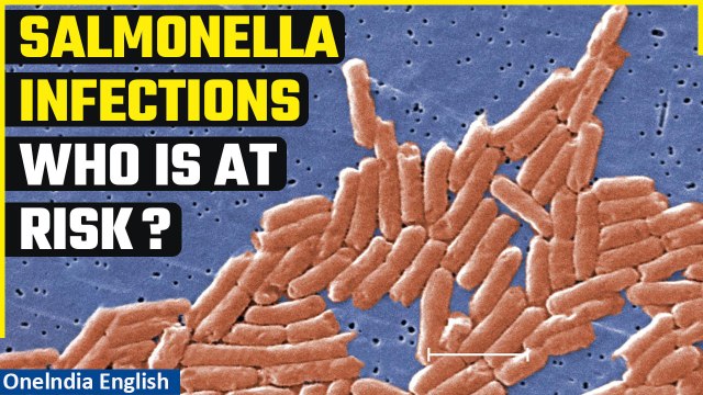 Salmonella infections: Cases reported in 15 U.S states, cantaloupes feared to be the cause| Oneindia