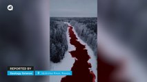 The Iskitimka River is dyed dark red in Russia