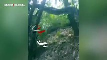 Ağaçta dinlenirken insanlara yakalanan anakonda sosyal medyayı salladı!