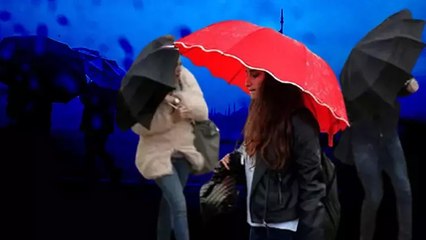 Meteoroloji'den kuvvetli yağış uyarısı... Prof. Dr. Şen İstanbul için saat verdi