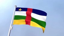 Central African Republic Waving Flag