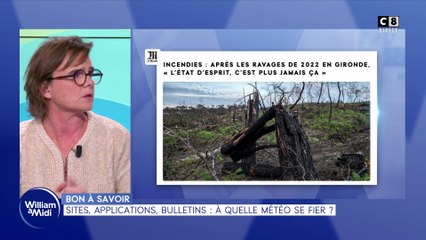 Bon à savoir : Sites, applications, bulletins, à quelle météo se fier ?