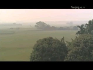 Pho xuan ca si cam ly