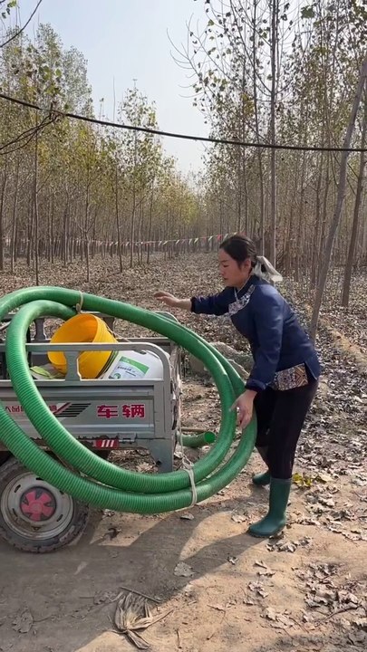 Today I went to the field and watered all the plants ! After coming back home, I made a very tasty dish of sweet potato ( Shakarkandi ) ! home cooking ! Mini cooking ! Cooking videos