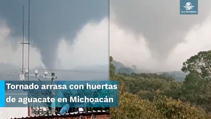 Fuerte tornado destruye huertas de aguacate en Michoacán