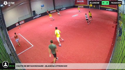 Faute de Bryan Richard - Blanche Citron H23