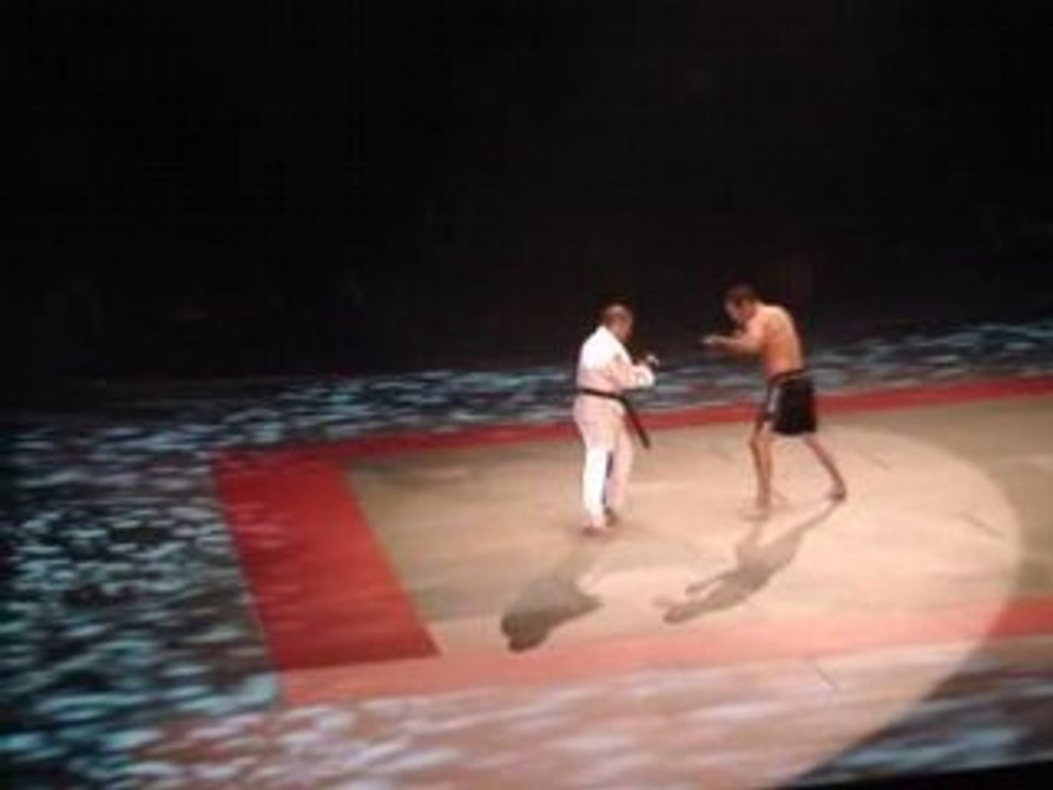 Bercy Paris festival arts martiaux 2008 avec dan henderson