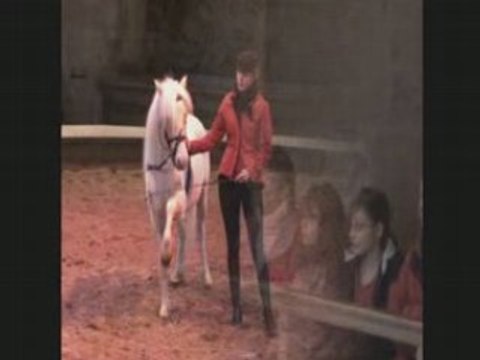 Chantilly-musée-cheval