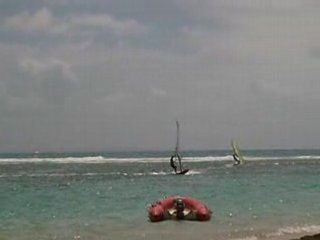 Olive en planche à voile à St Anne