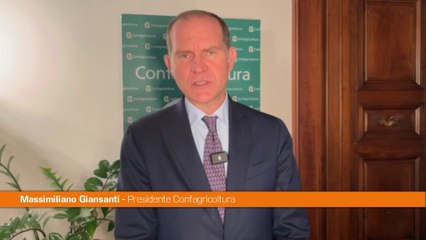 Ue, Giansanti "Sugli imballaggi grande vittoria italiana"