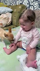 Baby and Dog Play Together