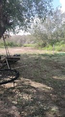 RC Car Crashes Through Window