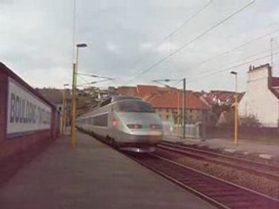 le ter-gv