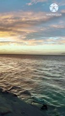 Amazing river beauty of evening in Assam #video #trending #viral