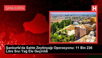 Şanlıurfa'da Sahte Zeytinyağı Operasyonu: 11 Bin 236 Litre Sıvı Yağ Ele Geçirildi