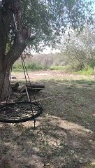 RC Car Crashes Through Window