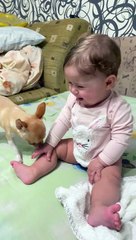 Baby and Dog Play Together
