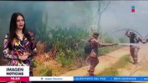 Francia enviará bomberos para combatir los incendios forestales de Bolivia