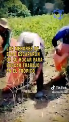 ¿Qué es ATB y cómo funciona?