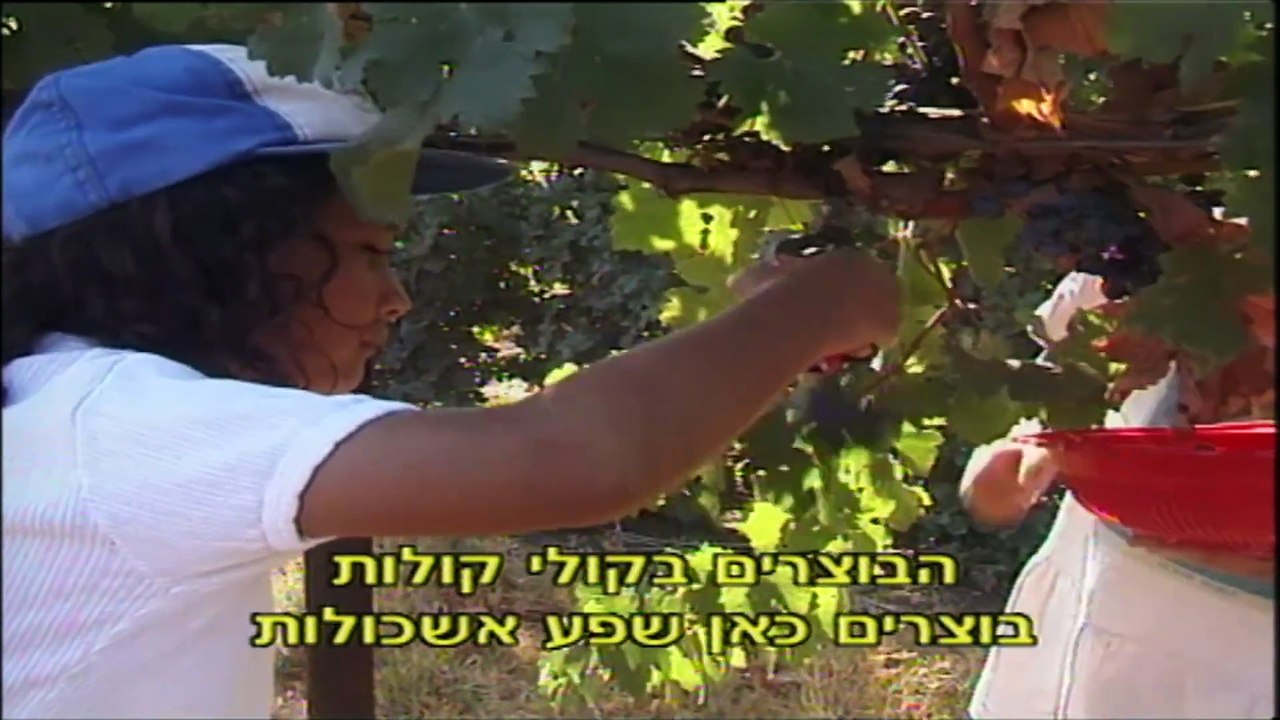 בגן של דודו 4 – הולכים בשבילים | movie | 2004 | Official Teaser