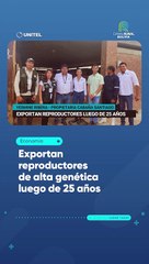 Exportan reproductores de alta genética luego de 25 años
