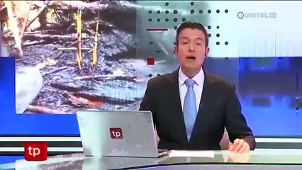 En tres zonas y en las serranías de Tumupasa se reactivaron los incendios