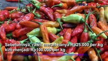 Harga Cabai Rawit Merah Tembus Rp100 Ribu per Kg, Omzet Pedagang Turun 60 Persen