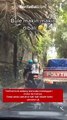 Terlihat bule sedang mencoba melanggar menaiki motor ke trotoar.