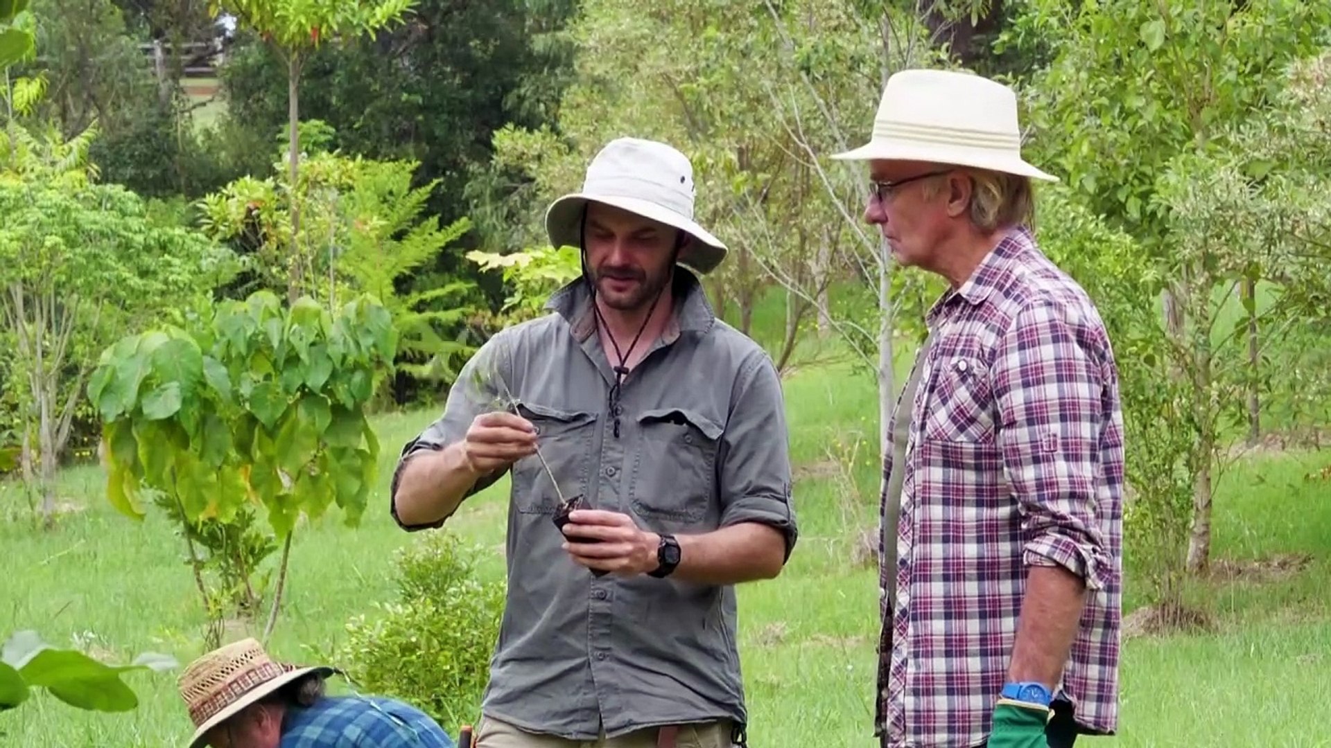 ⁣'Koala corridors' to save Australia's endangered marsupial