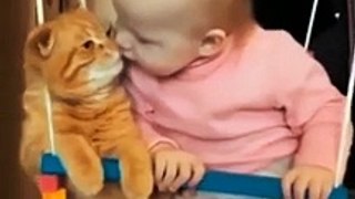 Cats and children have a good relationship | Beautifull Bond | Cute Cat Videos #shorts