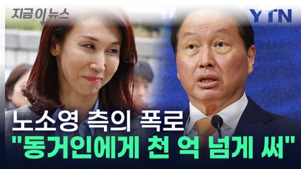 노소영 측 "최태원이 동거인에게 천 억 넘게 써"..."악의적 허위사실" [지금이뉴스] / YTN