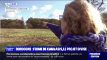 Dordogne: un projet de ferme de cannabis thérapeutique ne fait pas l'unanimité auprès des habitants
