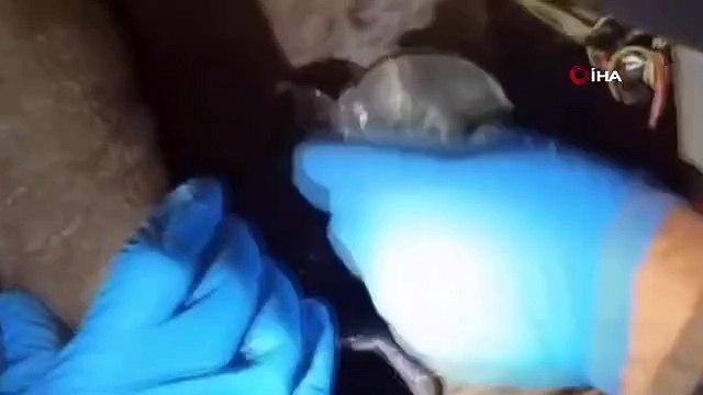 Malatya'da silah ve mühimmat kaçakçılığı operasyonunda 5 tabanca ele geçirildi