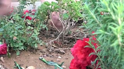 Depremde ölen Zuhal öğretmenin öğrencileri mezarı başında andı