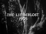 Romance Of The Limberlost