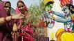 Tulsi Vivah Puja Vidhi 2023: घर में तुलसी विवाह कैसे करें | Tulsi Vivah Kaise Karen | Boldsky