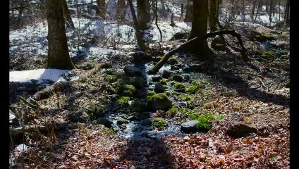 Kötülük Diye Bir Şey Yok Altyazılı Fragman