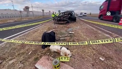 Sahibi ölünce kaza yerinden ayrılmadı