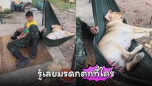 สบายจัด ! เจ้าตูบแสนรักนอนเปล ส่วนคนเลี้ยงและลูกน้อยนอนพื้นไปเลย....
